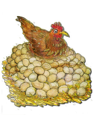 Chickens on Eggs